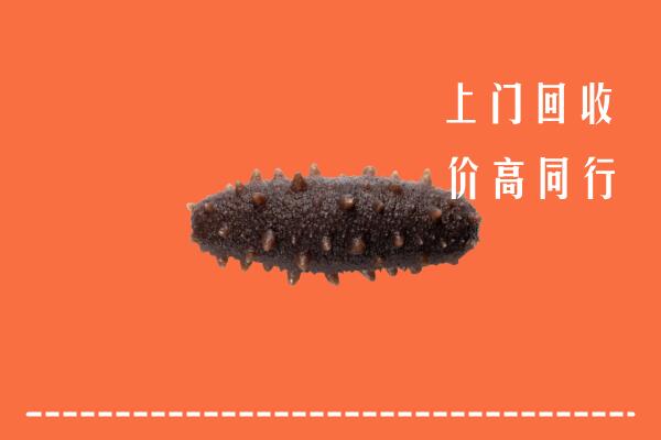 隆昌市回收海参