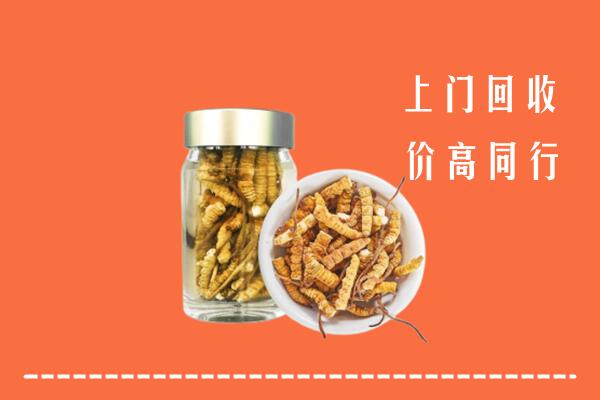 隆昌市回收冬虫夏草