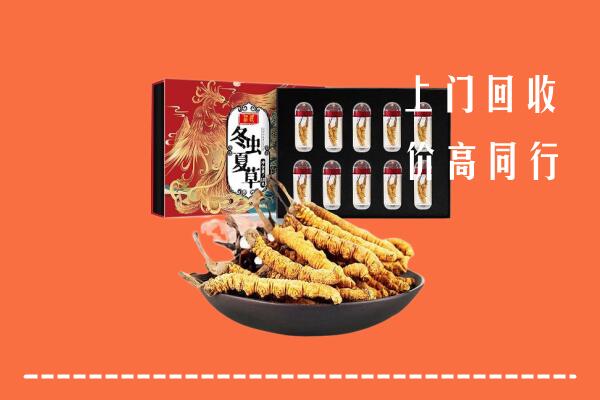 隆昌市回收虫草